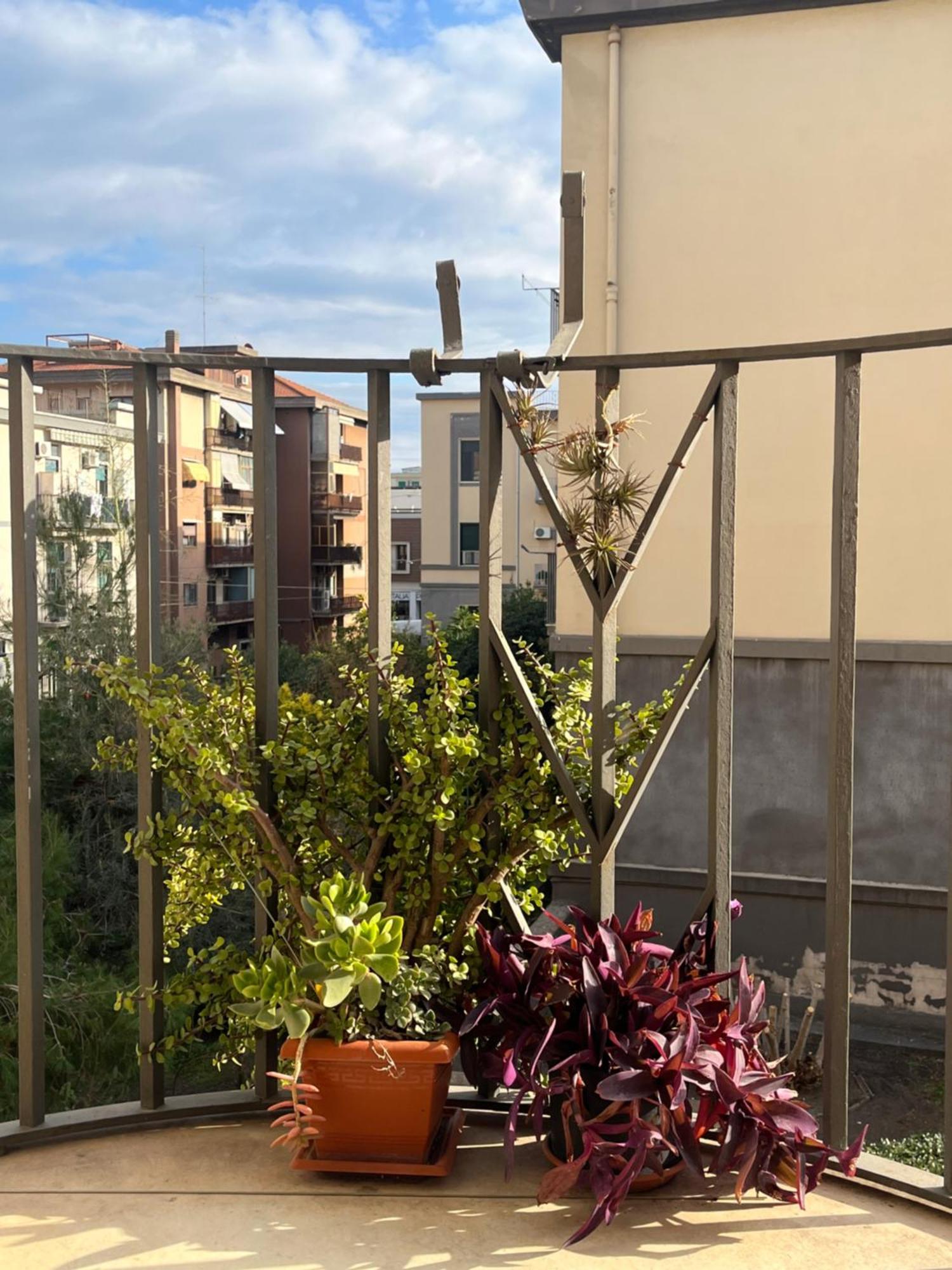 Deodato Guest House Catania Ngoại thất bức ảnh